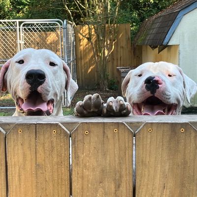 Avatar for In-house maintenance