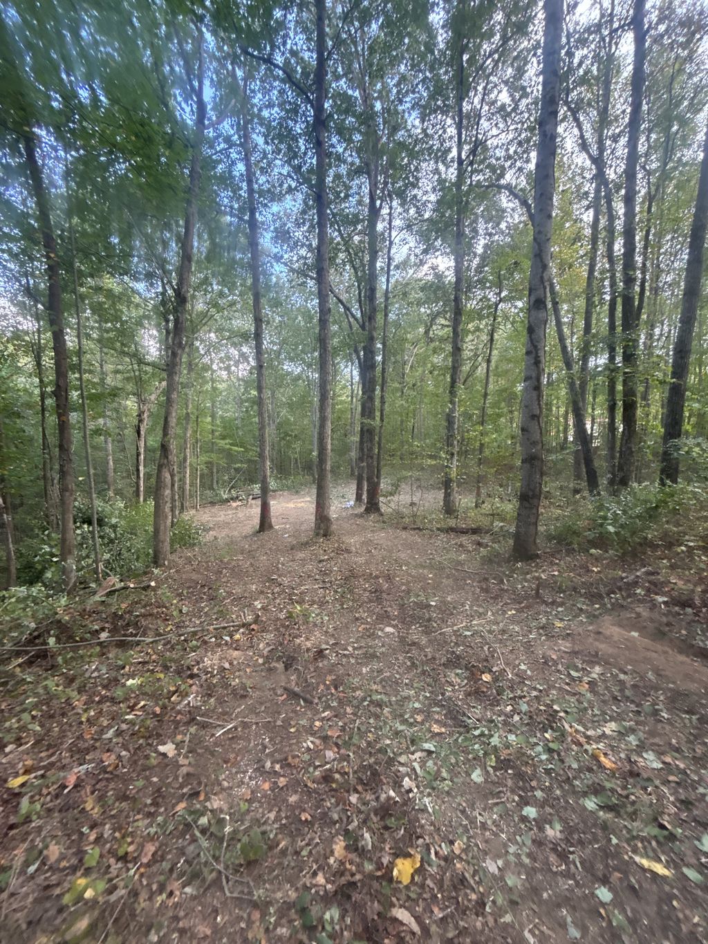 Land clearing 