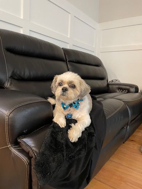My name is Teddy, but I am also a professor