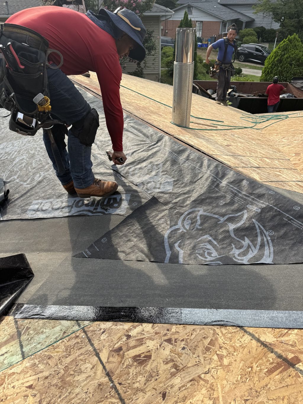 Projects and media