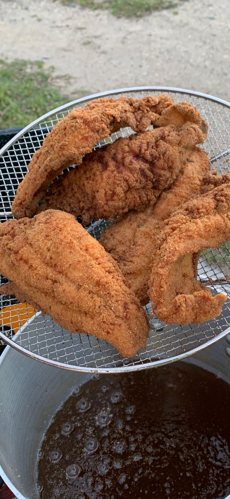 Fried fish 