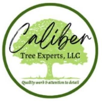 Avatar for Caliber Tree Experts, LLC