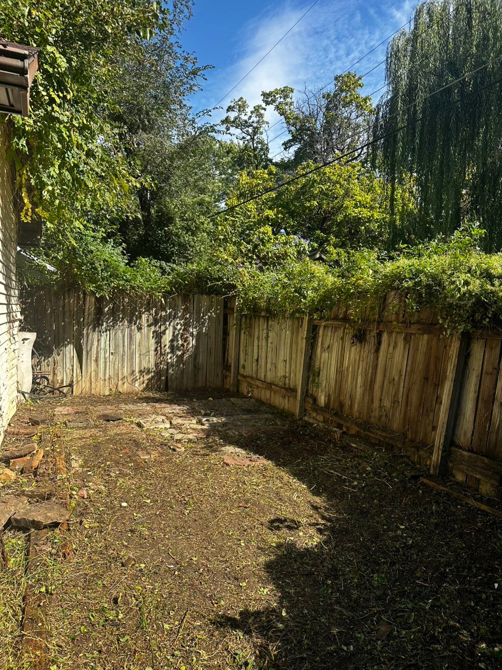 AFTER cleanout 346