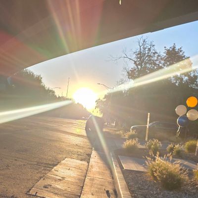 Avatar for Gabriel  Guzman