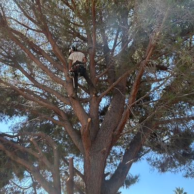 Avatar for James Bucholtz