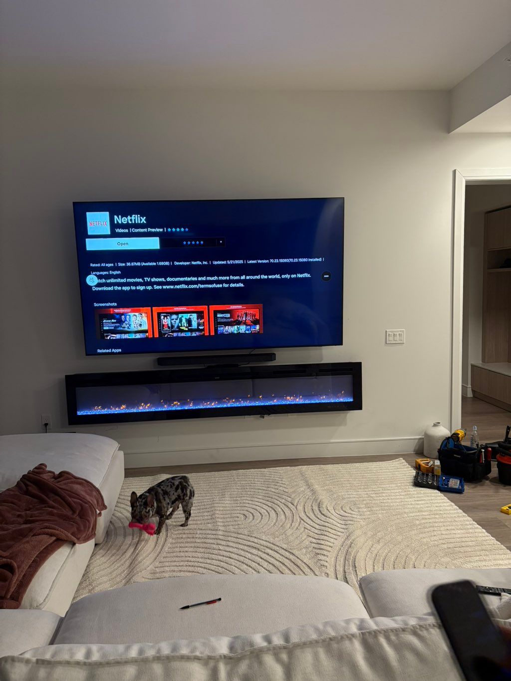 Projects and media