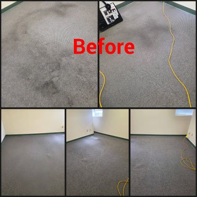 Avatar for GD Carpet & Window Power Wash Cleaning