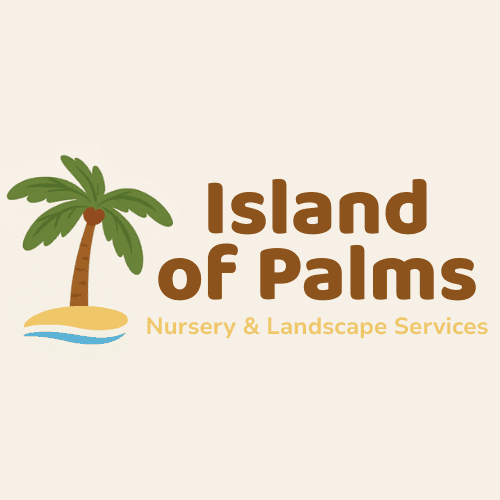 Island Of Palms