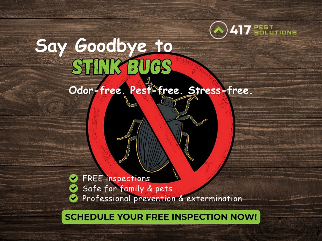 Sting Bug Pest Control