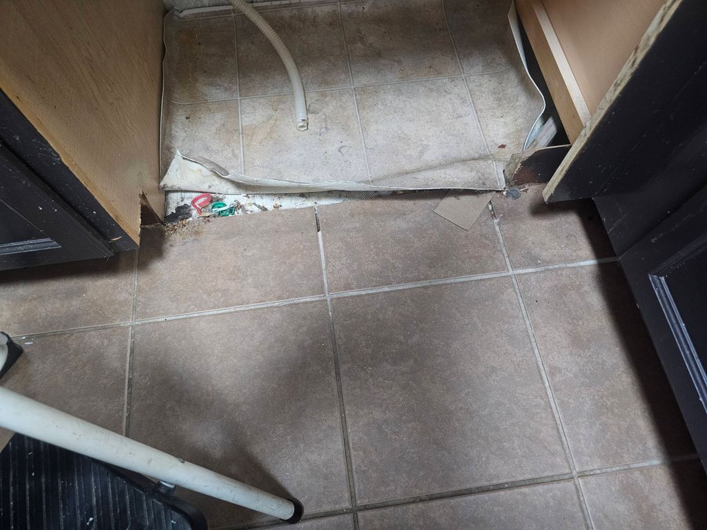 Kitchen tile and grout need to be removed from und