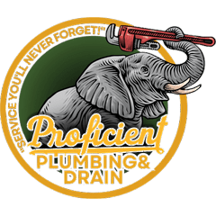 Avatar for Proficient Plumbing and Drain