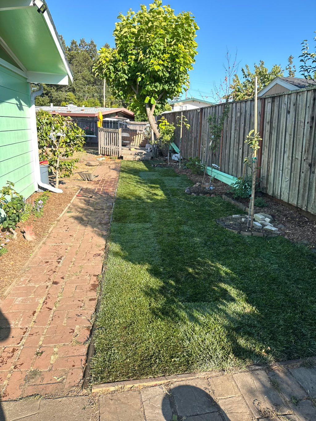 Sod installation 