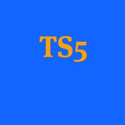 Avatar for TS5 LLC Junk Removal and Hauling