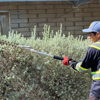 Avatar for Immanuel landscaping