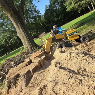 Avatar for Oak’s Tree Service 🌲