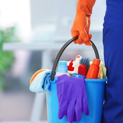 Avatar for GoldenAppleTree Cleaning and Care