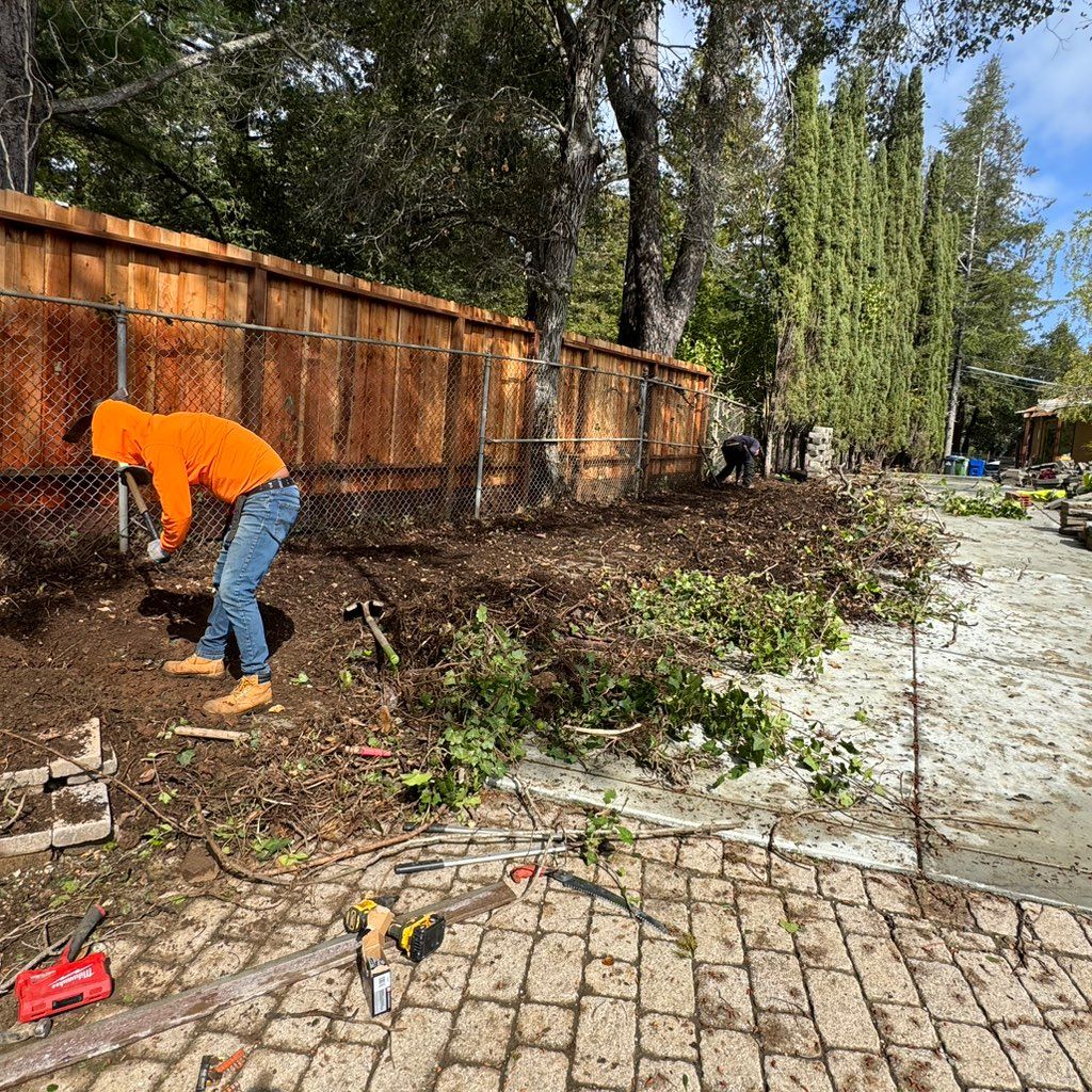 general gardening services