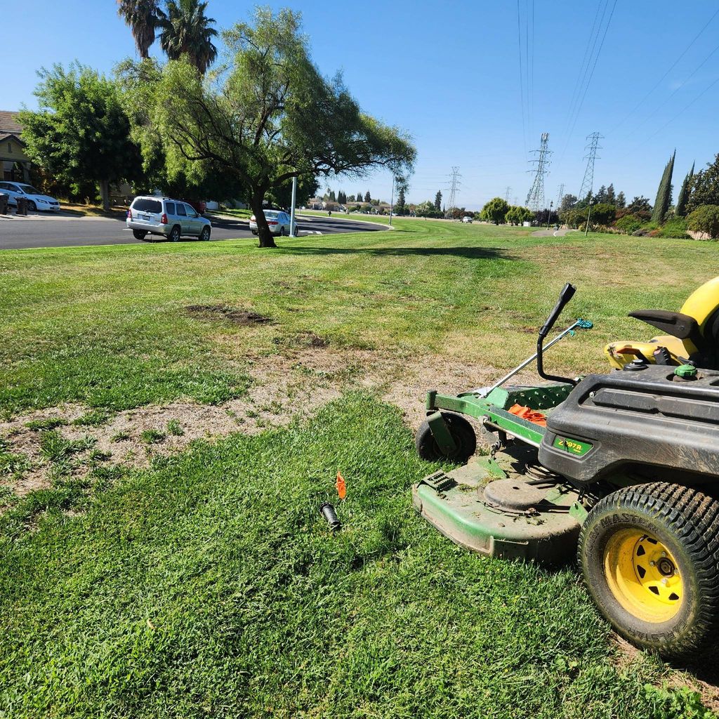 E&J lawn care
