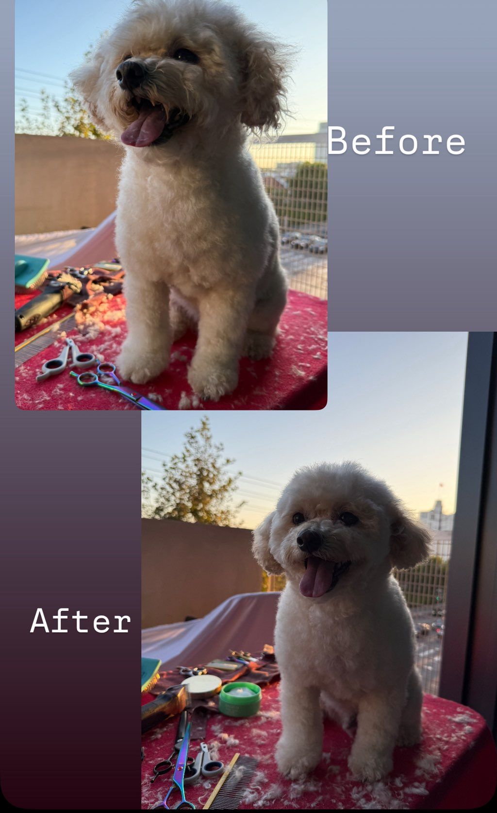 King before and after. 