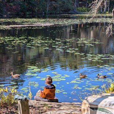 Avatar for Caroline  Mamidi