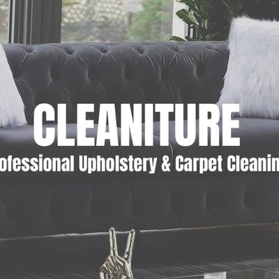 Avatar for Cleaniture LLC