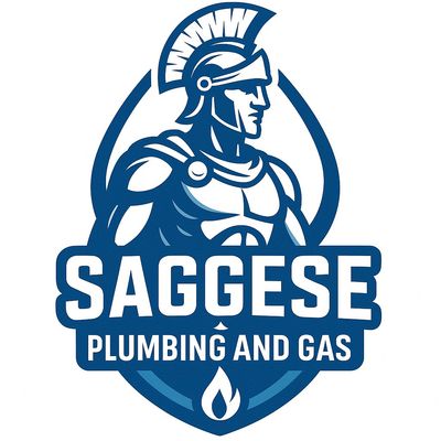 Avatar for Vinny Saggese
