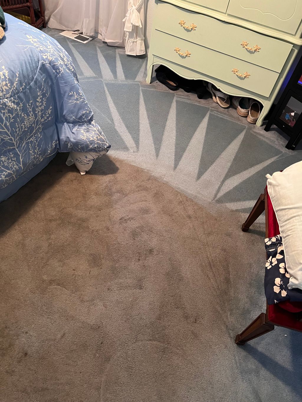 When Zerorez comes to clean and your carpets are a