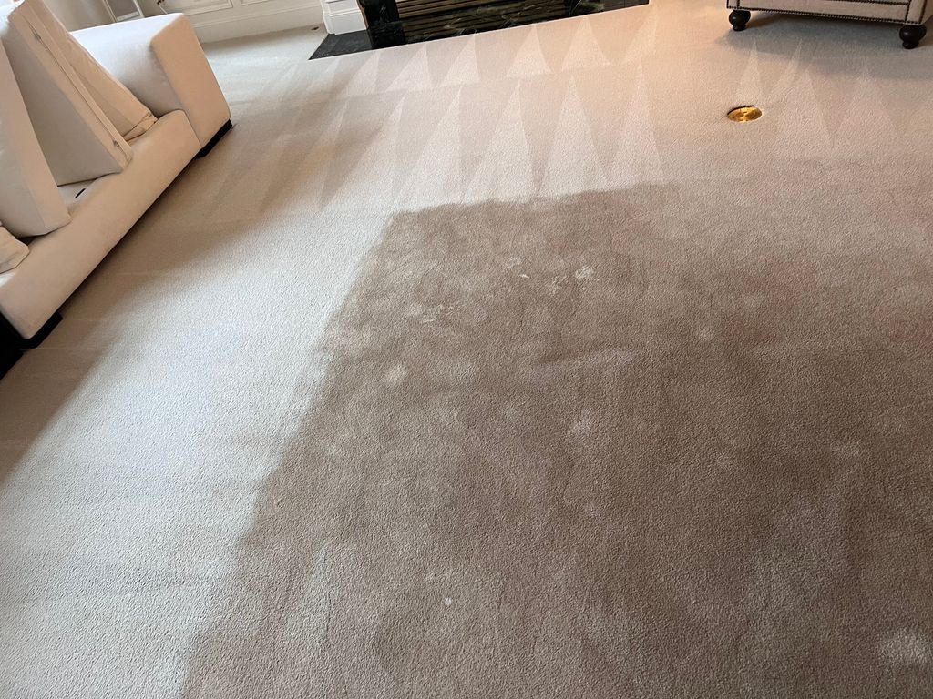 Give your carpets the love they deserve!