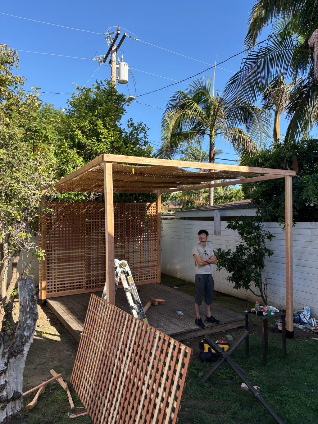 Projects and media