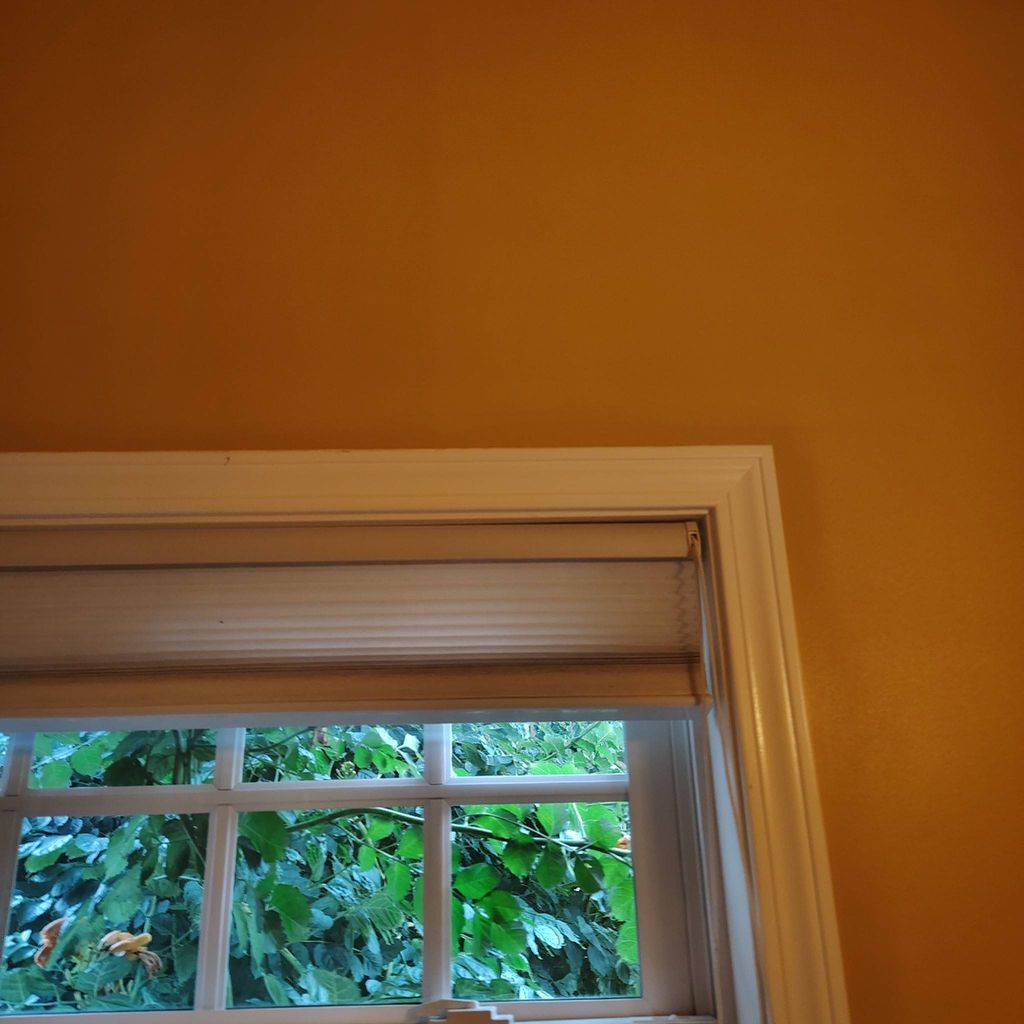 Deanna's and Roberts Painting