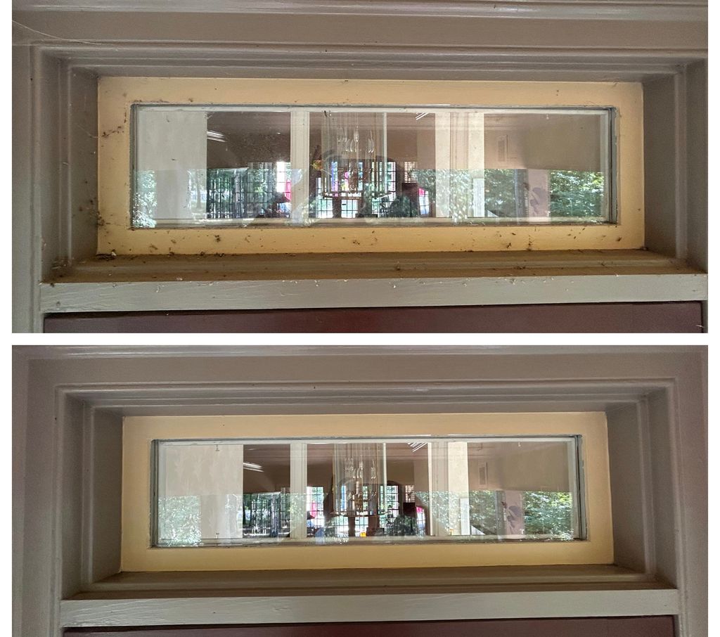 Window Cleaning & Cobweb Removal