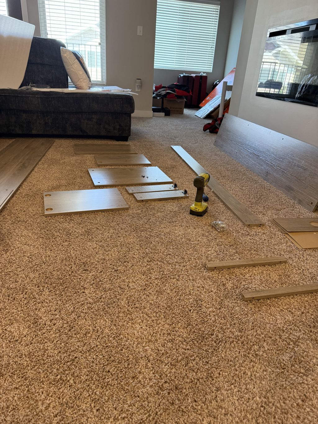 Projects and media