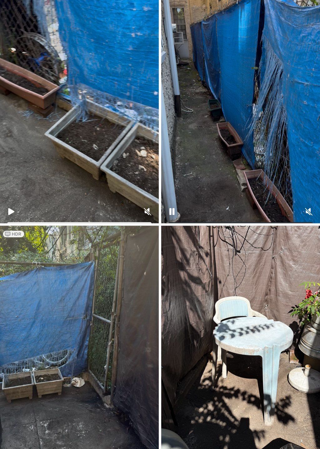 Removed over grown weeds After