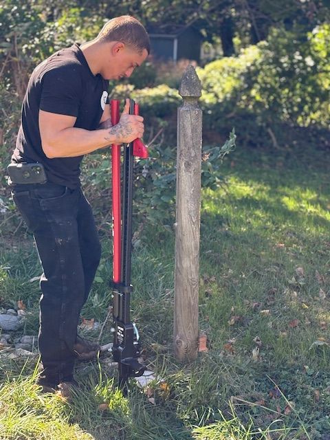 Fence Removal 
