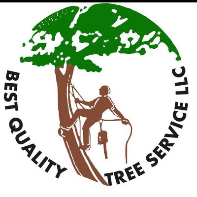 Avatar for Best quality tree services llc