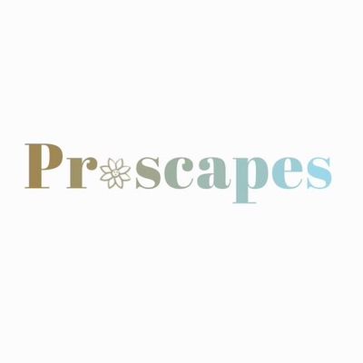 Avatar for ProScapes Landscape and Design