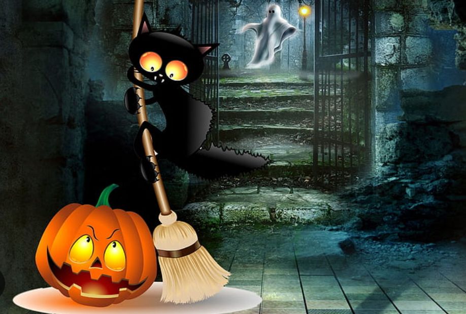 Check our website for October specials