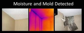 Mold can be hidden and not always seen. We use equ