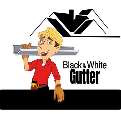Avatar for Black and White Gutter Llc