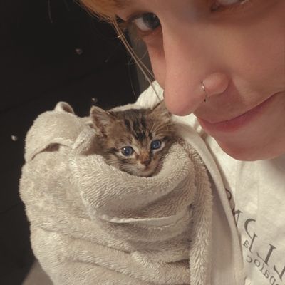 Avatar for SarahMeow Care