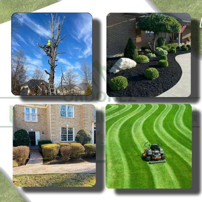 Avatar for Ordonez Law and Landscaping