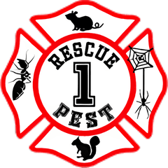 Avatar for Rescue 1 Pest & Termite Control  B#3397.  S#4237