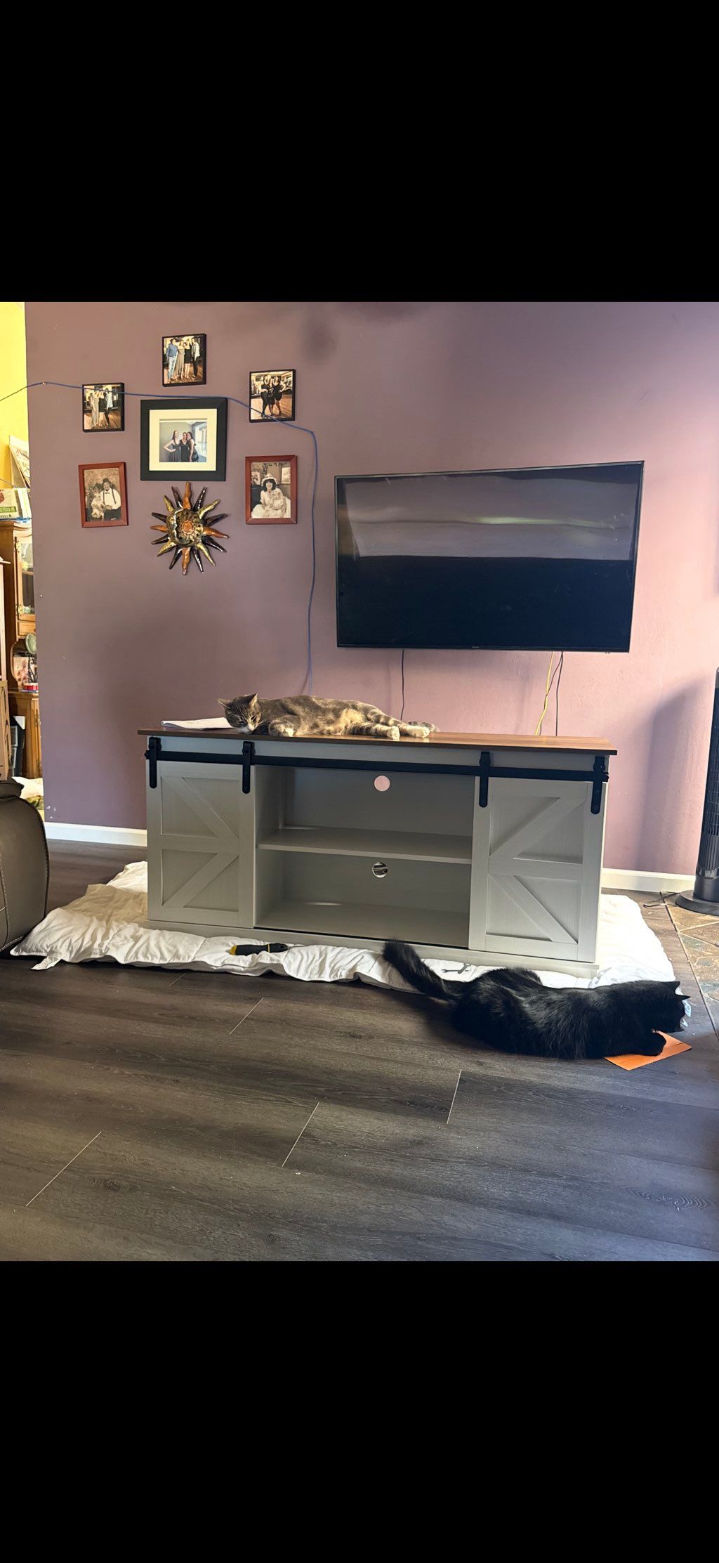 Furniture assembly that homeowners and cats  loved