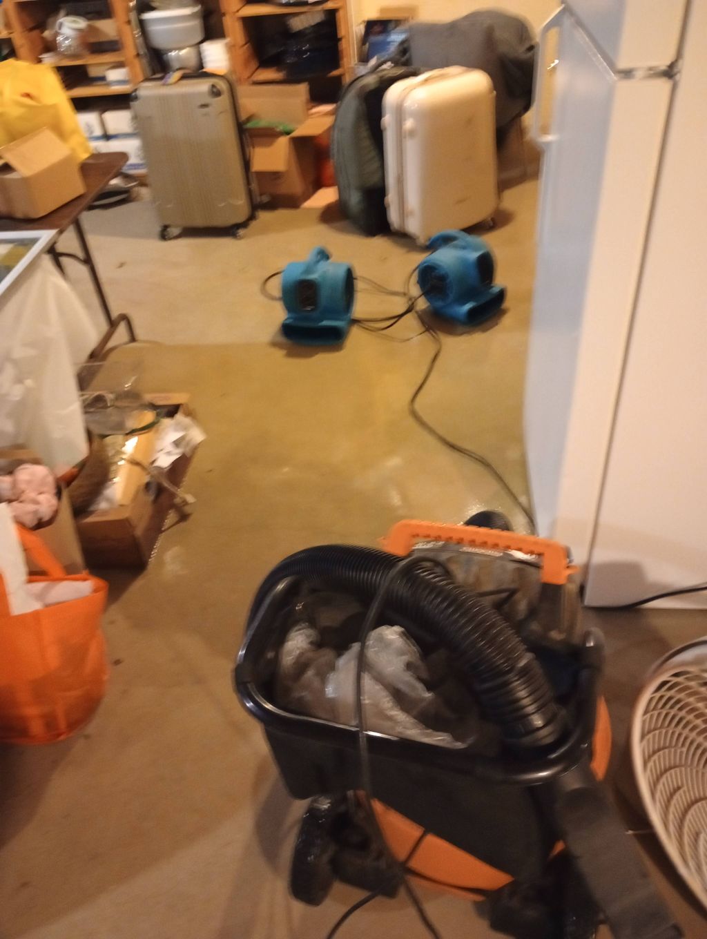 forced to deal with hoarding cause of flooding 
