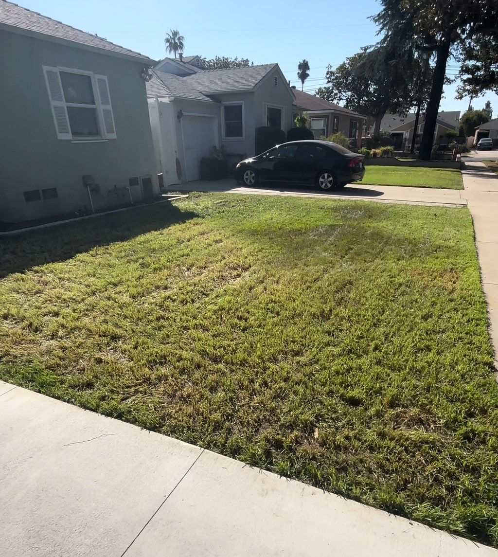 the after and a good job