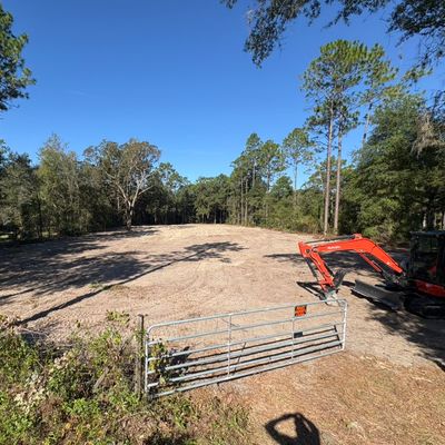 Avatar for Forest Land Clearing and Tree Removal LLC