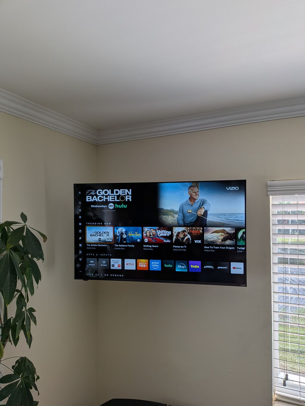 Projects and media