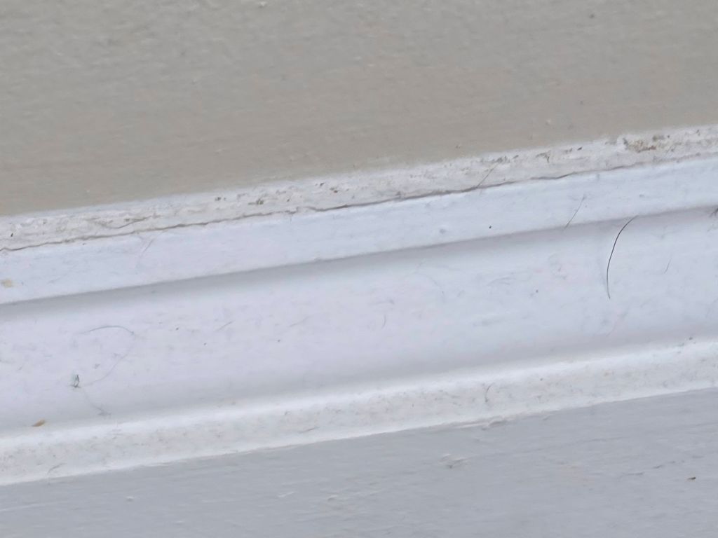 Before: pet hair and dust on baseboards