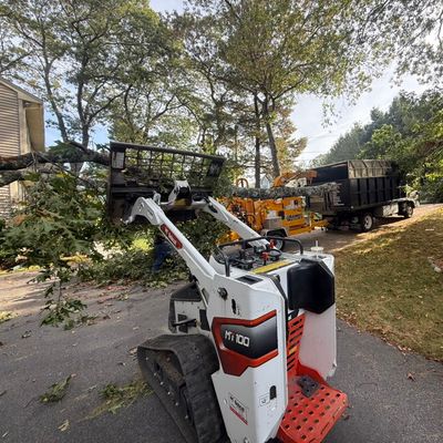 Avatar for Esteban R hardscape trees service