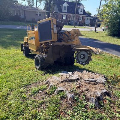 Avatar for Twins stump grinding
